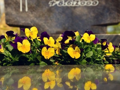 a32ffcb5db59a8c81d4662bbee61a5b6_a