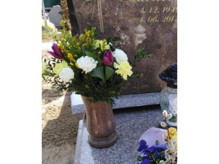 Kwiaty żywe, cięte