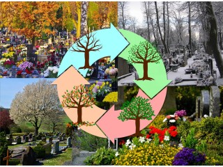 Opieka całoroczna - grób pojedynczy z granitu