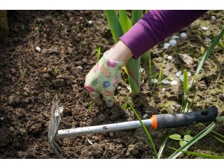 Pielenie grobu pojedynczego